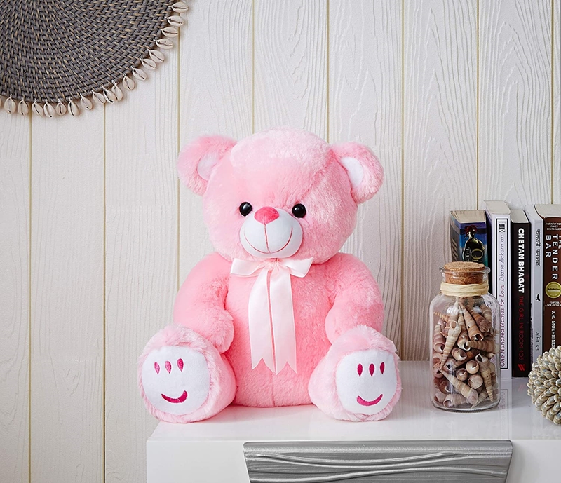 Picture of Pink Teddy